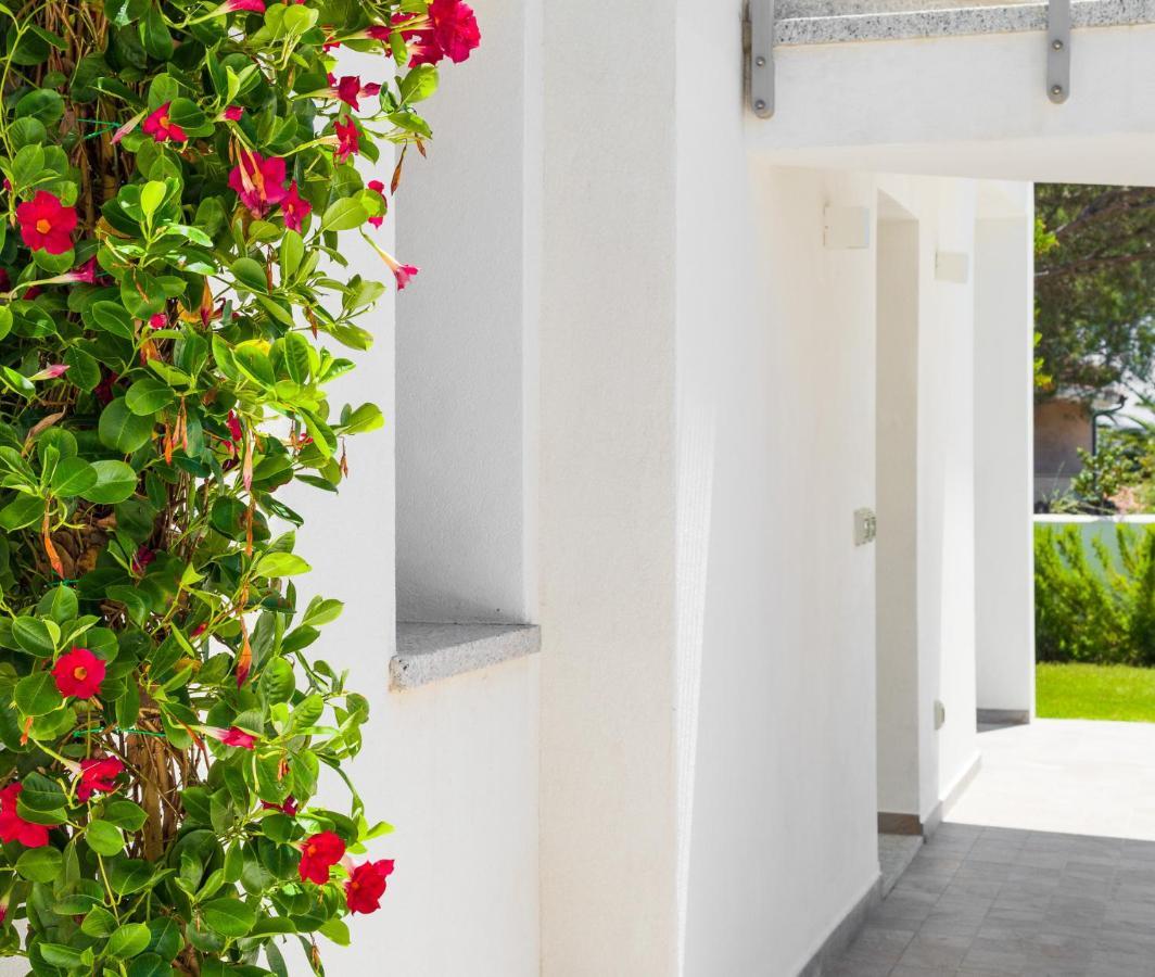 Wlofts 13 By Klodge Olbia Kültér fotó